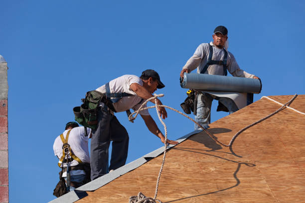 Best Commercial Roofing Services  in Denison, IA