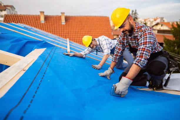 Best Roof Waterproofing Services  in Denison, IA