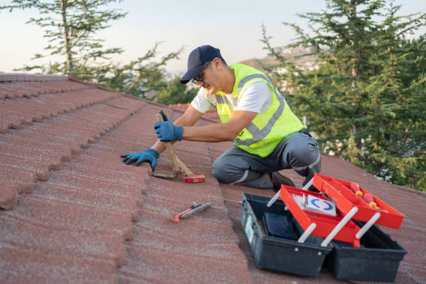 Best Best Roofing Contractors  in Denison, IA