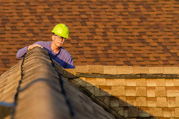 Best Slate Roofing Contractor  in Denison, IA